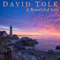 A Beautiful Life by David Tolk - New Age Piano