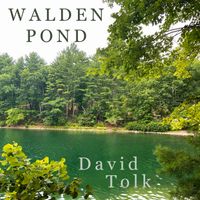 Walden Pond by David Tolk - New Age Piano