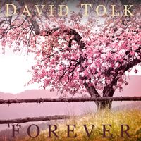 Forever by David Tolk - New Age Piano