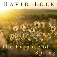 The Promise of Spring by David Tolk - New Age Piano