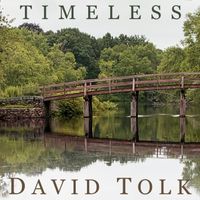 Timeless by David Tolk - New Age Piano