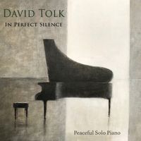In Perfect Silence by David Tolk
