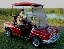 "Cassie" is owned by Paula Hise of Texas. She is pictured here going for a ride with her kennel mates in their 57' Chevrolet Convertible on the golf course. (CLICK ON PHOTO TO ENLARGE IMAGE)
