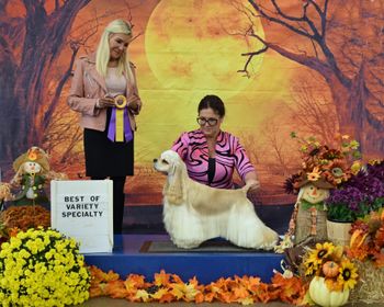 "Mouse" winning best of Variety under Patty Darke at the Salamonie/Skyline weekend specialty shows
