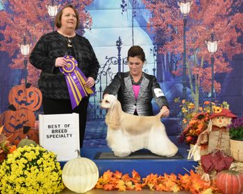 "Mouse" pictured winning Best of  Breed at the Salamonie/Skyline specialty shows under judge Kyle Robinson.  handled by Lisa Arnett
