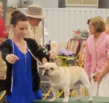 Ann Arbor Dog Show 2017
