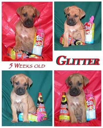 5 Weeks - Glitter
