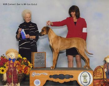 7.5 mths old - 1st show         Best of Winners
