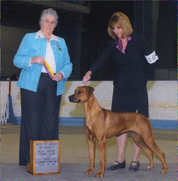 Sioux Falls Best of Breed
