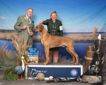 Grand Champion Best of Breed
