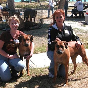 Paris and Josie  Mink X Gane Handled by Heather & Kim Plant City, FL
