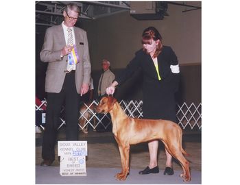 LeMars Best of Breed
