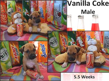 Vanilla Coke - Male
