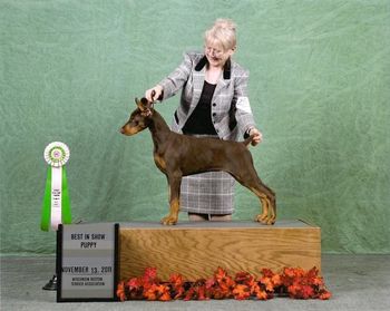 UKC BIS Puppy
