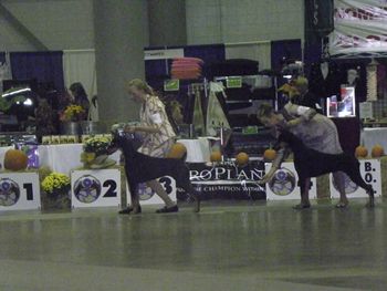 2014 Nationals
