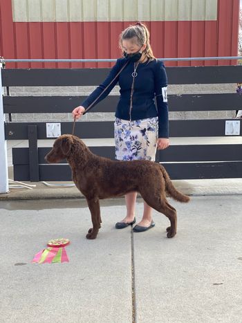 Ayla and Montana winning Best Junior Handler, it was Montanas first time in the ring!
