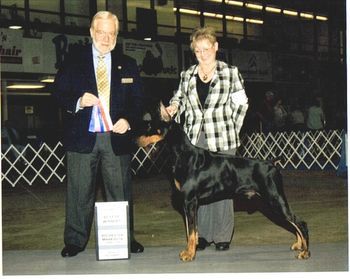 Thriller finishes his AKC championship!
