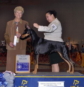 Grand Champion Select Major
