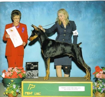2nd weekend out, Best Puppy In Show!
