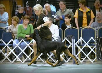 Photo by "The Winning Image" of Chuck moving at the 2009 DPCA Nationals
