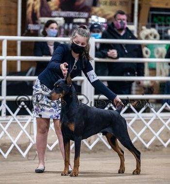 Ayla and Angus winning Best of Opposite!
