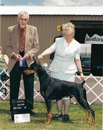 Five point major to finish his AKC Championship!
