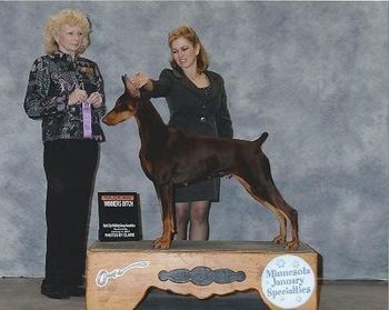 New AKC Champion!! Thank you Susan Kipp!
