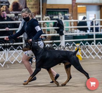What beautiful movement!
