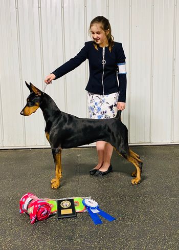 Ayla and Dreamer winning Best Junior Handler and Best in Match!
