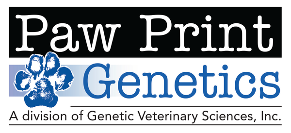 We health test all our hounds via Paw Print Genetics.