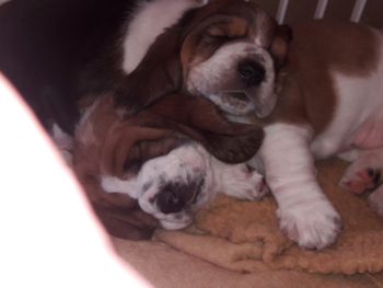 Cuddle Time

