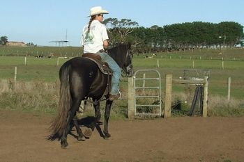 Enjoy a pleasure ride along roads & tracks Pass other horses, of all genders, with no worries
