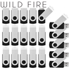 Wild Fire USB Flash Drive #1