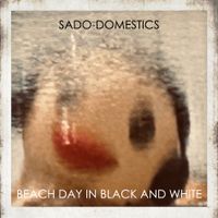 Sado-Domestics & Friends Album Release Party (w/ The Nocturnal Adoration Society) at The Square Root