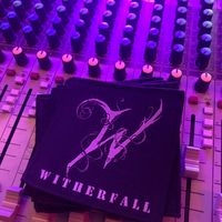 Witherfall W patch