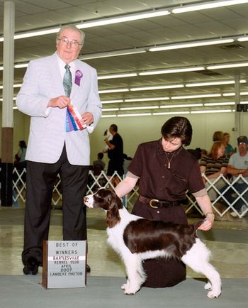 "Betty" Chartwells Chickadee (Chase X Ch. Charwells Right as Rain) Breeder - Susan Campbell Betty has 12 points with both majors.
