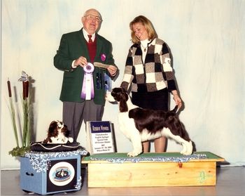 "Katie" Belay N Briarton's Vitality (Kooper X A/C/UKC Ch. Belay's Remebrance) Breeders: Donna Hillman, Jenny Sweet, & Cathy VanKempen Katie is co-own with Donna Hillman, Cathy VanKempen, & Ruth Dehmel Katie's accomplishments with very limited showing: 3rd - 6-9 sweeps - 2007 ESSFTA National Specialty 2nd - 6-9 puppy bitch - 2007 ESSFTA National Specialty 1st - 9-12 sweeps - 2008 CESSCGA RWB from 9-12 puppy bitch class - 2008 CESSCGA Puppy Group 1 - Detroit Kennel club - 2008
