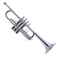 Weekly payment- 2 Lessons per week, 15 minutes each