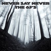 Never Say Never by The 65's