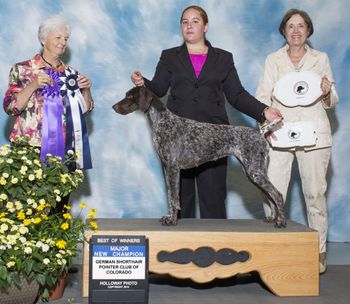 4pt Major GSPCC PM Specialty May 2014- New Champion Judge: Ms. Gloria Kerr
