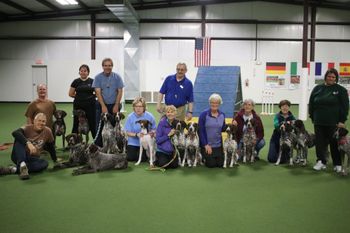 2017 GSPCA NSS Agility Line Up - Courtesy of David Nauer
