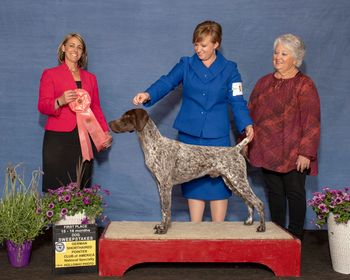 2018 GSPCA NSS 1st Place 15-18 Sweepstakes Dog
