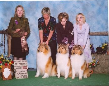 L-R Ch. Royal's Heaven Sent "Angel" Ch. Royal's Slightly Sinful "Amber" Ch. Diamante Royal Delight "Kimber"
