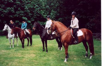 A ride in the park with friends.
