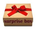 LADY REDNECK SURPRISE BOX!!