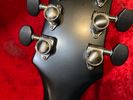 2020 Epiphone Les Paul Prophecy (Used)