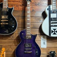 ESP/LTD EC-256 Electric Guitar (See Thru Purple Sunburst)