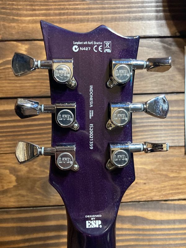 ESP/LTD EC-256 Electric Guitar (See Thru Purple Sunburst) - LOADED