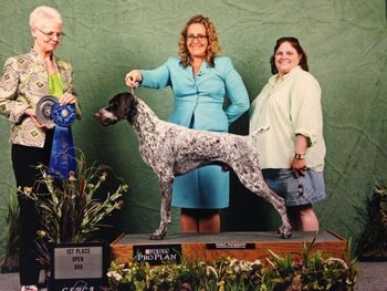 2016 winner of the Open dog class
