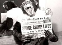 LOCM presents "Space Chimp Lives" The Music of GRAPE JUICE PLUS